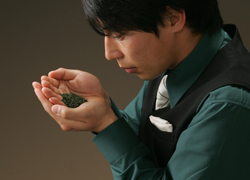 日本茶伝道師